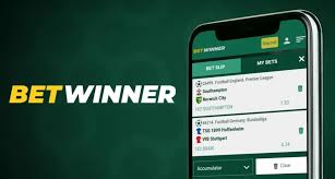 BetWinner Bookmaker Review - Everything You Need to Know